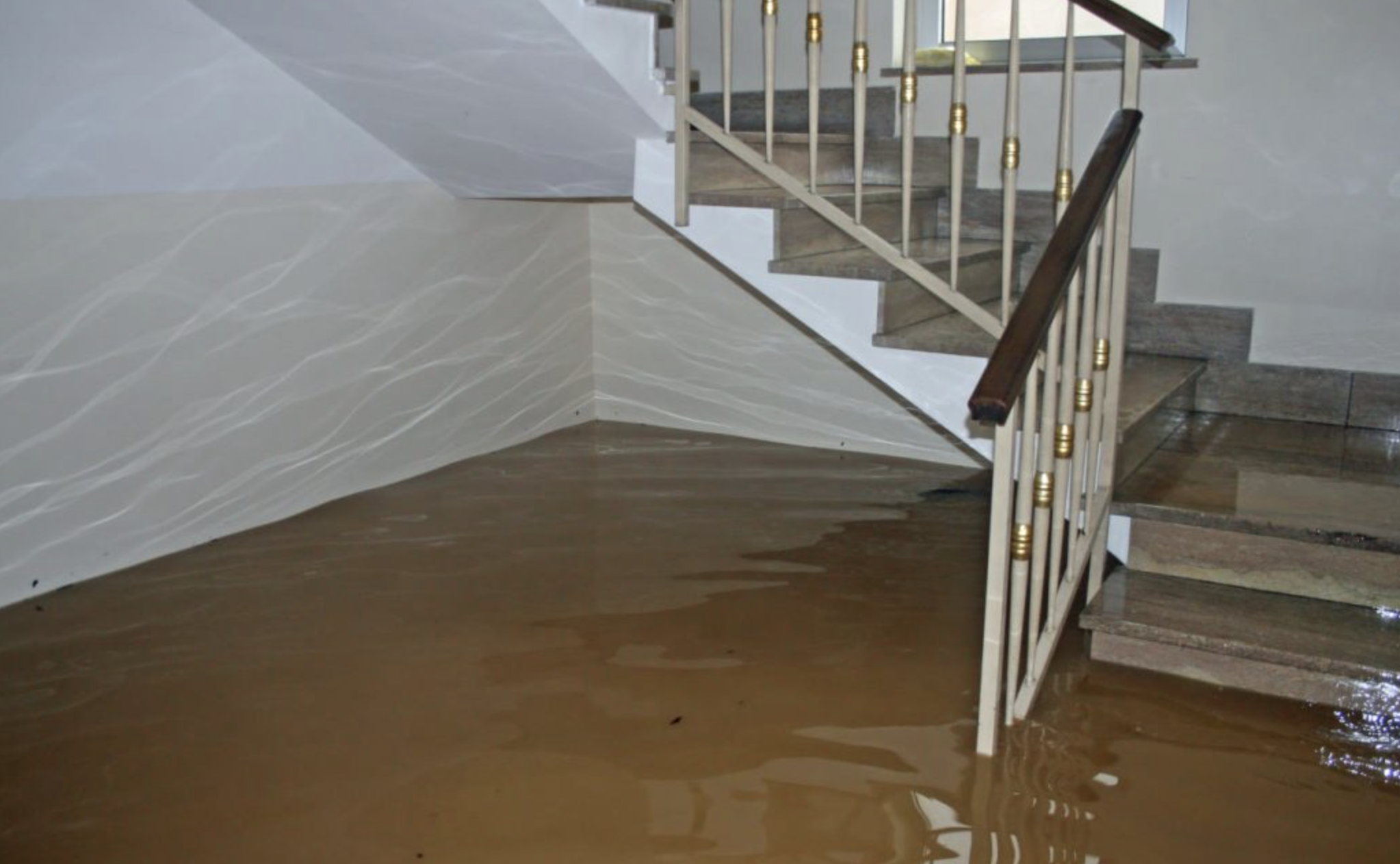 Water damage lead generation and Google map pack results